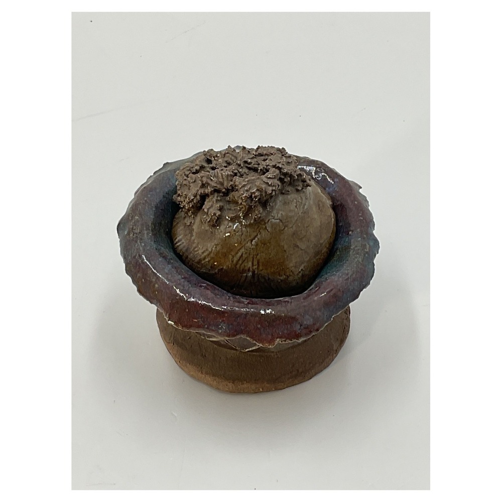 Vintage 1973 Handmade Studio Pottery Trinket Box Mushroom Lid Signed RD 3"